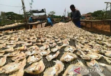 Cirebon Strengthens Yangjiang Ties for Agritech, Fisheries Growth