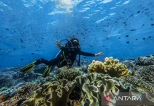 Indonesia Eyes Quality Tourism Growth at ADEX Singapore 2026