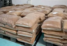 Indonesia Exports 24 Tons of Coconut Sugar to Ghana