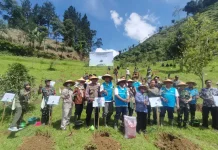 PLN Plants 20,000 Coffee Trees in Banjarnegara to Mark Earth Day