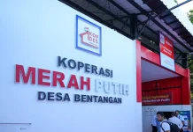 Indonesia Partners with CDF Canada to Develop Red and White Cooperatives