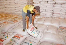 Indonesia’s Surplus Urea Fertilizer Attracts Interest from India, Philippines