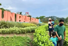 Batam Botanical Garden Aims for Global Conservation and Tourism Hub