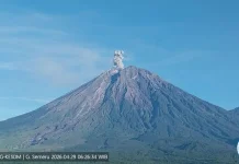 Mount Semeru Activity Remains Dominated by Eruption Earthquakes