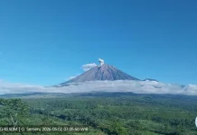 Mount Semeru Erupts Twice with Plumes Reaching 700 Meters