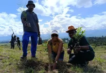 Papua Highland Marks Hardiknas 2026 by Planting 3,000 Trees