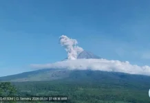 Mount Semeru Erupts with 2-Kilometer Hot Cloud Avalanches