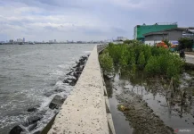 Indonesia Accelerates Seawall Construction to Counter Rising Seas