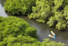 Ministry Affirms West Bali National Park Tourism Aligned with Zoning Regulations