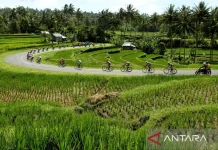 West Sumatra to Introduce Non-Competitive Tour de Singkarak to Boost Tourism