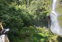Curug Cibareubeuy: Subang’s Exotic Waterfall and Scenic Trekking Destination