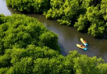 Ministry Confirms Tourism in West Bali Park Meets Permit Rules