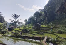 Subang’s Cibeusi Village Offers a Blueprint for Rural Serenity