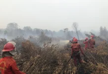 Govt Strengthens Wildfire Early Detection Ahead of 2026 Dry Season Peak