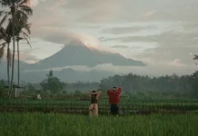 Indonesian Shorts at Cannes 2026 Signal Global Cinematic Powerhouse