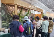 Indonesian Floriculture Attracts Strong Interest in South Korea
