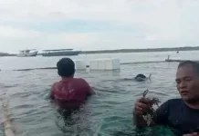 Blue Economy Expansion: Simeulue Launches Red Seaweed Cultivation Trial