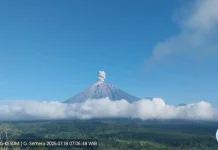 Mount Semeru Erupts Five Times, Sending Ash 1.2 KM Into the Sky