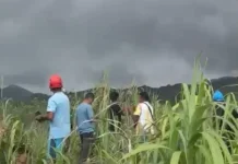 Rescue Teams Search for Missing Singaporeans After Mount Dukono Eruption