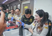 Authorities Thwart Exotic Wildlife Smuggling Attempt from Thailand
