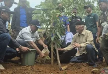 Twelve Thousand Trees Planted in Bandung to Prevent Floods and Restore Land