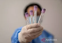 Yogyakarta Health Agency Ramps Up Surveillance to Prevent Hantavirus
