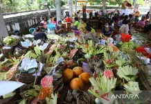 Dusun Patoman Tengah Brings Balinese Charm to Banyuwangi