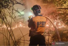 Dry Season Looms as Forest Fire Scorches Two Hectares in North Kalimantan
