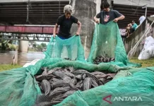 Jakarta's Invasive Fish Problem Exposes Limits of Going It Alone