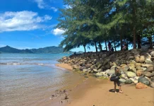 Carolina Beach, A Coastal Gem in West Sumatra's South Bungus