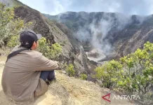 Mount Ciremai's Forest Offers a Blueprint for Indonesia's Climate Goals
