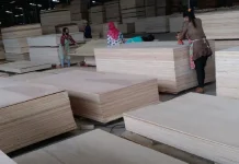 Indonesia, ITTO Strengthen Cooperation on Sustainable Forestry