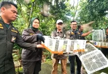 NTB Releases 1,392 Rescued Birds into the Wild
