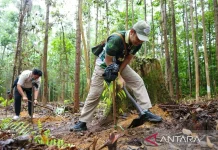 IKN Authority Invites Visitors to Leave Green Footprints by Planting 150 Saplings