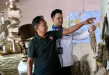 Driftwood on Bali’s Coast Transformed into High-Value Handicrafts