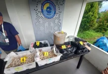 Joint Border Operation Foils Smuggling of 2,253 Turtle Eggs in West Kalimantan