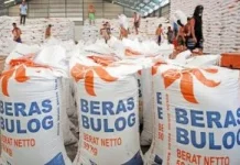 Foreign Nations Seek Rice Supplies from Indonesia: President Prabowo