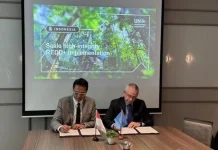 Indonesia, UNEP Strengthen Forest Climate Partnership