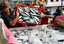 House Urges Strict Oversight of Fishermen’s Village Program