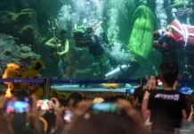 Indonesia Promotes Marine Tourism Through Aquarium Attractions