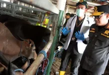 Quarantine Agency Tightens Livestock Checks Ahead Eid al‑Adha