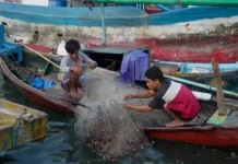 Jakarta Fishermen Demand Integrated Port and Cold Storage Facilities