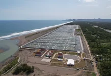 Govt Synchronizes Regional Programs to Strengthen the National Blue Economy