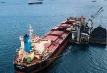 Indonesia Tightens Export Oversight with DSI’s Official Launch