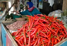 Statistics Bureau Highlights Inflation Risks During Eid al-Adha