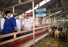 Baznas Launches Nationwide Eid al-Adha Program to Empower Villages