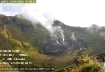 Shallow Volcanic Earthquakes at Mount Awu Surge to 41 Incidents per Day
