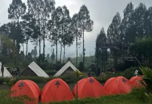 Family of Four Found Dead Inside Camping Tent in Temanggung