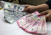 Bank Indonesia Vows 24-Hour Commitment to Safeguard Rupiah Stability