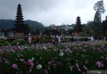 Bali Contributes Over Half of Indonesia’s Tourism Income